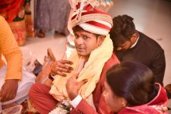 PAP_1334