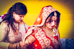AMP_2951